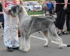 Lou-Lord von Alt Herrenwyk