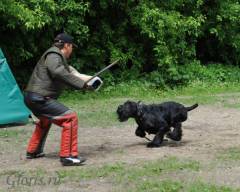 Gloris Show Dancer