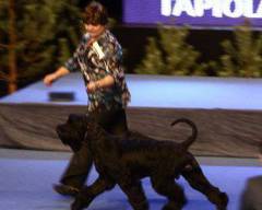 Gloris Show Dancer
