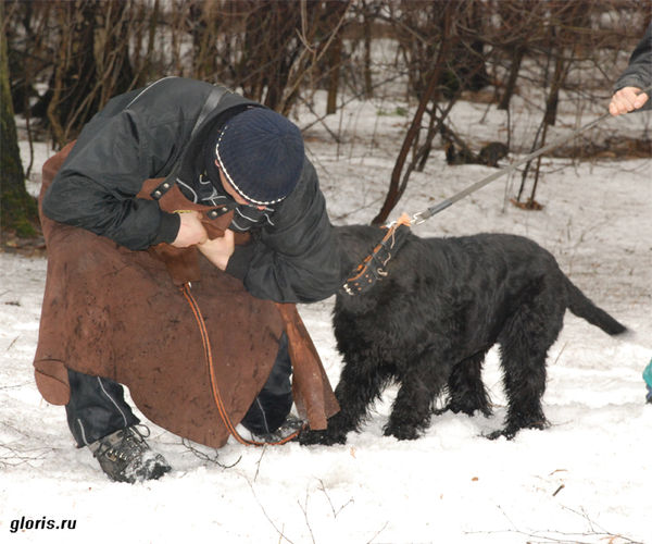 �������, ����� ���������� � ������ ������