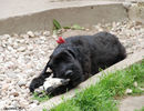 Файл=DSC_0031.jpg
Объём=614KB
Размеры=1040x800
Дата=Июнь 12, 2008 DSC_0031.jpg