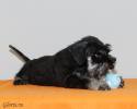 Файл=DSC_0088.jpg
Объём=349KB
Размеры=1000x800
Дата=Янв 05, 2009 DSC_0088.jpg