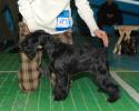 Файл=DSC_0136.jpg
Объём=559KB
Размеры=1000x800
Дата=Янв 25, 2009 DSC_0136.jpg