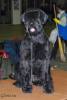 DSC_0156.jpg