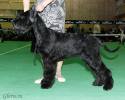 Файл=DSC_0179~0.jpg
Объём=598KB
Размеры=1000x800
Дата=Янв 31, 2009 DSC_0179~0.jpg
