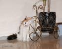 Файл=DSC_0179~1.jpg
Объём=459KB
Размеры=1000x800
Дата=Фев 08, 2009 DSC_0179~1.jpg