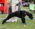 Файл=DSC_0195.jpg
Объём=625KB
Размеры=960x800
Дата=Июль 02, 2008 DSC_0195.jpg