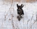 DSC_0468.jpg