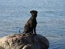 DSC00095.JPG