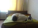 DSC00216.JPG