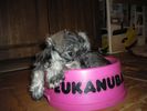 IMGP0163.JPG